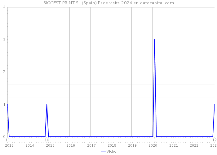 BIGGEST PRINT SL (Spain) Page visits 2024 