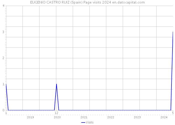 EUGENIO CASTRO RUIZ (Spain) Page visits 2024 