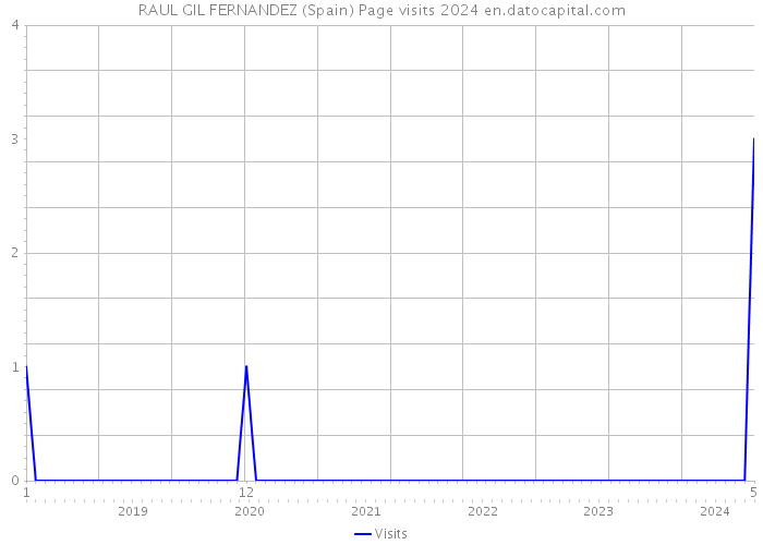 RAUL GIL FERNANDEZ (Spain) Page visits 2024 
