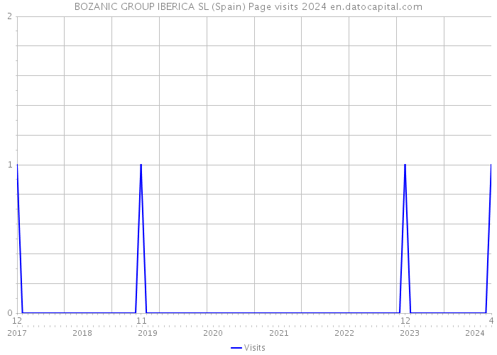 BOZANIC GROUP IBERICA SL (Spain) Page visits 2024 