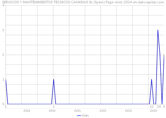 SERVICIOS Y MANTENIMIENTOS TECNICOS CANARIAS SL (Spain) Page visits 2024 