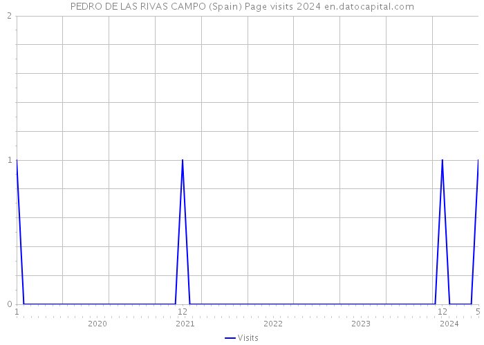 PEDRO DE LAS RIVAS CAMPO (Spain) Page visits 2024 