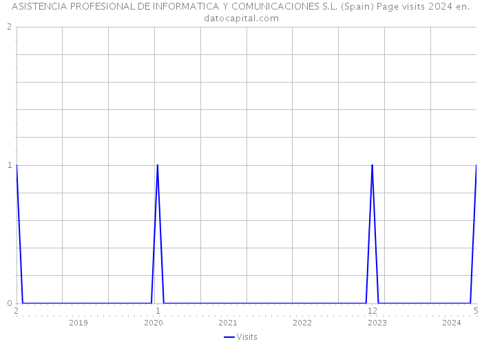 ASISTENCIA PROFESIONAL DE INFORMATICA Y COMUNICACIONES S.L. (Spain) Page visits 2024 