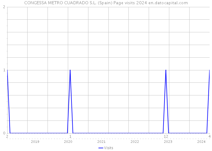 CONGESSA METRO CUADRADO S.L. (Spain) Page visits 2024 