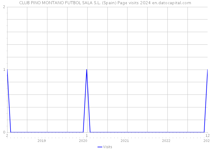 CLUB PINO MONTANO FUTBOL SALA S.L. (Spain) Page visits 2024 