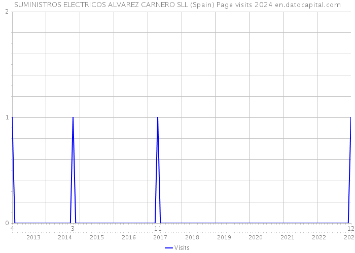 SUMINISTROS ELECTRICOS ALVAREZ CARNERO SLL (Spain) Page visits 2024 