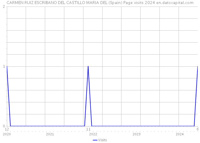 CARMEN RUIZ ESCRIBANO DEL CASTILLO MARIA DEL (Spain) Page visits 2024 