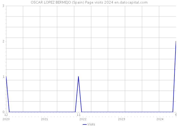 OSCAR LOPEZ BERMEJO (Spain) Page visits 2024 
