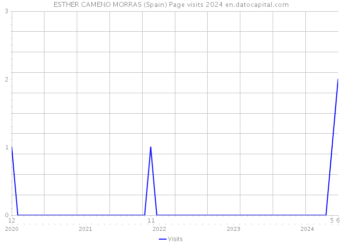 ESTHER CAMENO MORRAS (Spain) Page visits 2024 