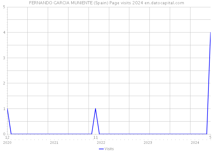FERNANDO GARCIA MUNIENTE (Spain) Page visits 2024 