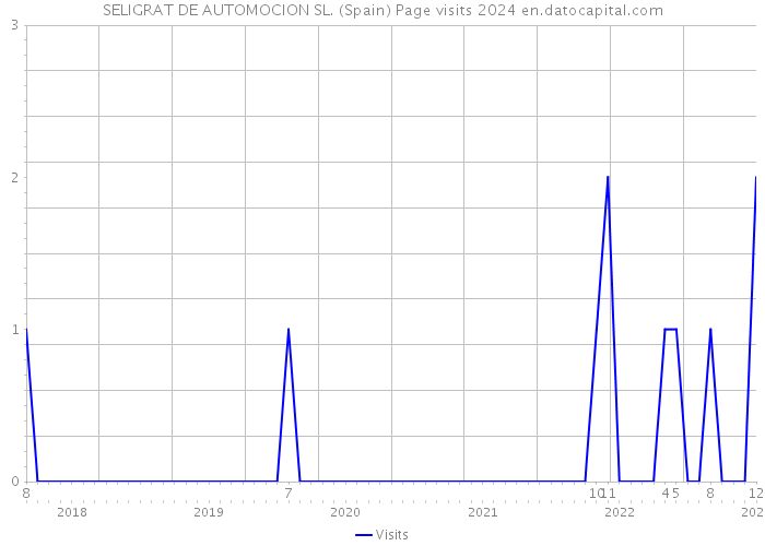 SELIGRAT DE AUTOMOCION SL. (Spain) Page visits 2024 