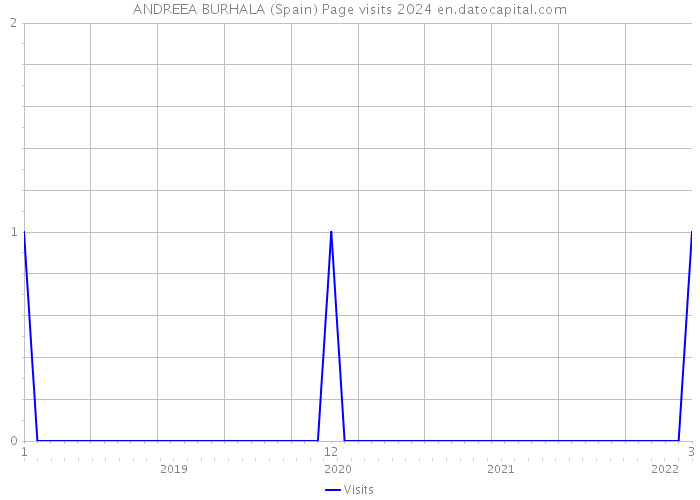 ANDREEA BURHALA (Spain) Page visits 2024 