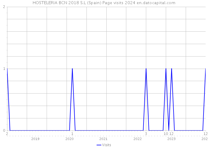 HOSTELERIA BCN 2018 S.L (Spain) Page visits 2024 