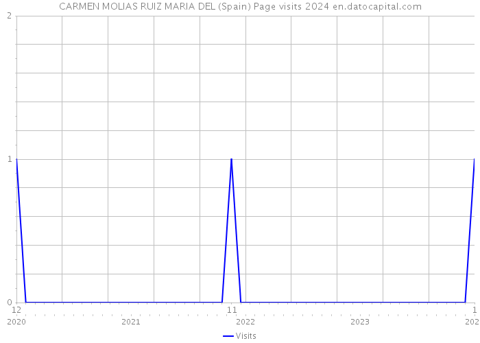 CARMEN MOLIAS RUIZ MARIA DEL (Spain) Page visits 2024 