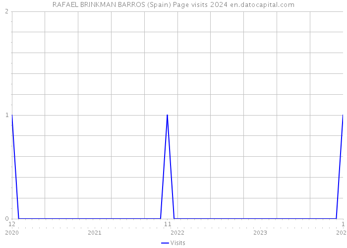 RAFAEL BRINKMAN BARROS (Spain) Page visits 2024 