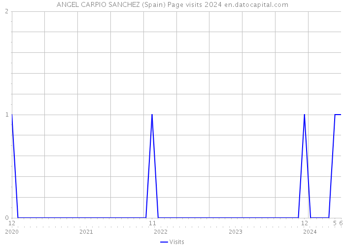 ANGEL CARPIO SANCHEZ (Spain) Page visits 2024 