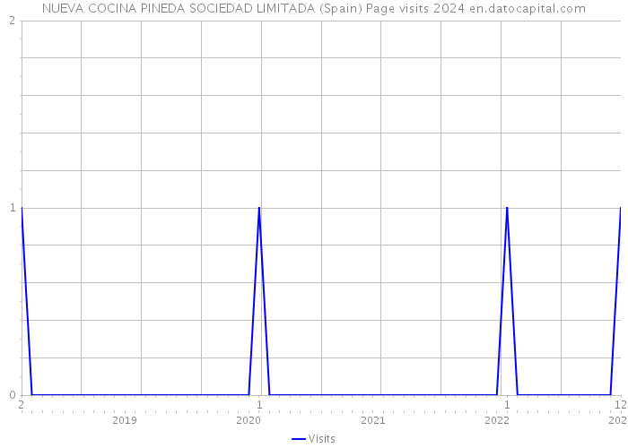 NUEVA COCINA PINEDA SOCIEDAD LIMITADA (Spain) Page visits 2024 