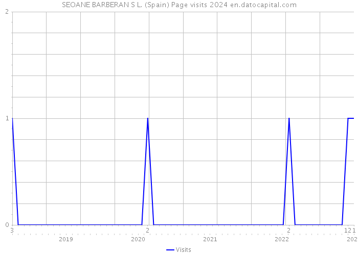 SEOANE BARBERAN S L. (Spain) Page visits 2024 