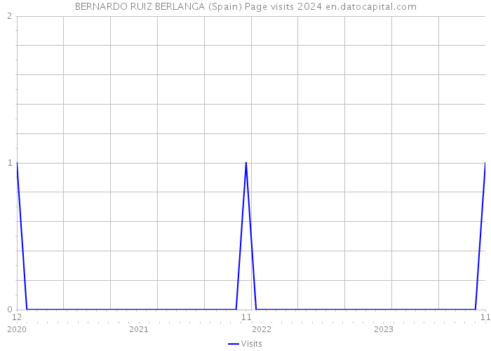 BERNARDO RUIZ BERLANGA (Spain) Page visits 2024 