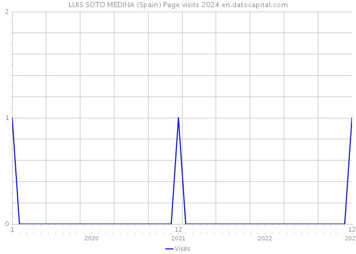 LUIS SOTO MEDINA (Spain) Page visits 2024 