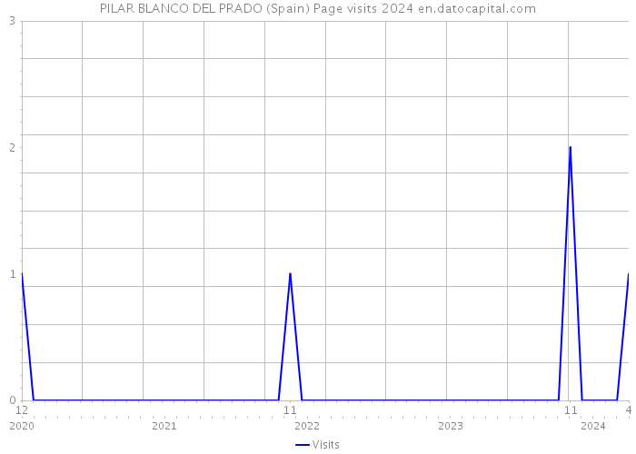 PILAR BLANCO DEL PRADO (Spain) Page visits 2024 