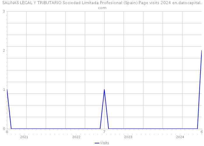 SALINAS LEGAL Y TRIBUTARIO Sociedad Limitada Profesional (Spain) Page visits 2024 