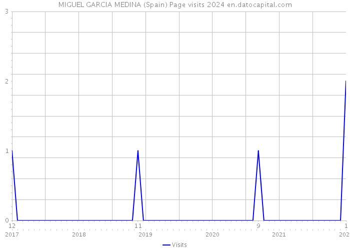 MIGUEL GARCIA MEDINA (Spain) Page visits 2024 