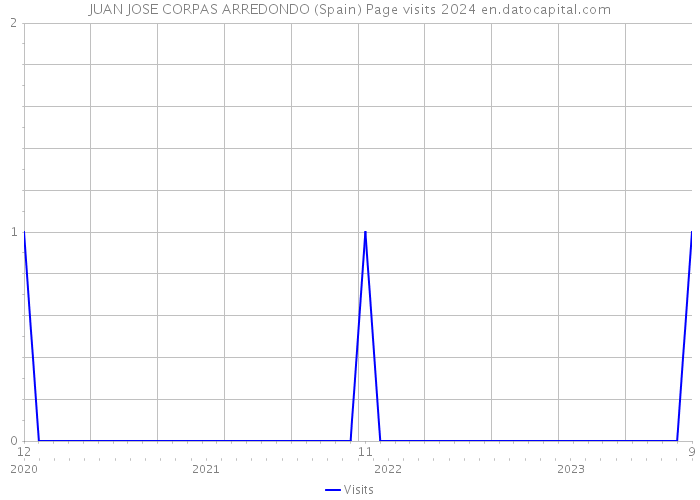 JUAN JOSE CORPAS ARREDONDO (Spain) Page visits 2024 