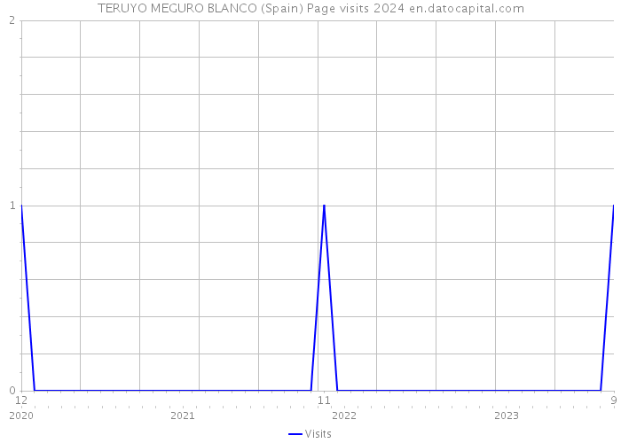 TERUYO MEGURO BLANCO (Spain) Page visits 2024 