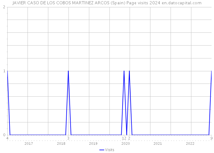 JAVIER CASO DE LOS COBOS MARTINEZ ARCOS (Spain) Page visits 2024 