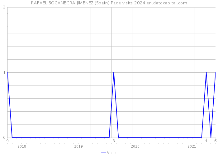 RAFAEL BOCANEGRA JIMENEZ (Spain) Page visits 2024 