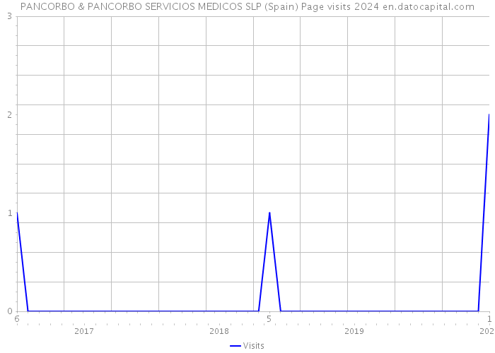 PANCORBO & PANCORBO SERVICIOS MEDICOS SLP (Spain) Page visits 2024 