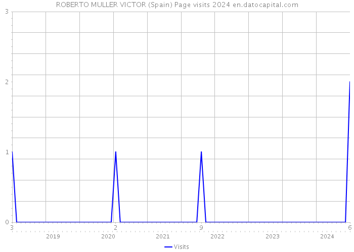 ROBERTO MULLER VICTOR (Spain) Page visits 2024 