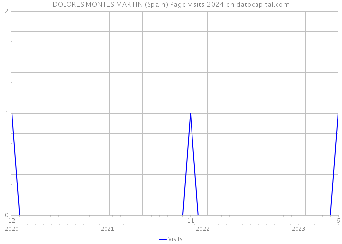 DOLORES MONTES MARTIN (Spain) Page visits 2024 