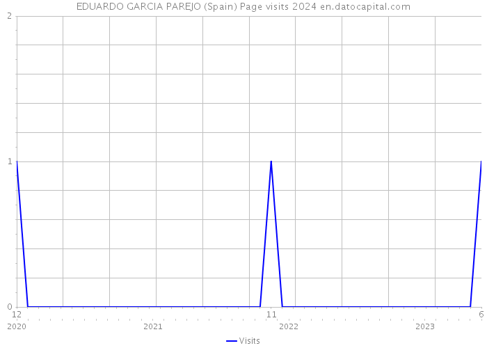 EDUARDO GARCIA PAREJO (Spain) Page visits 2024 