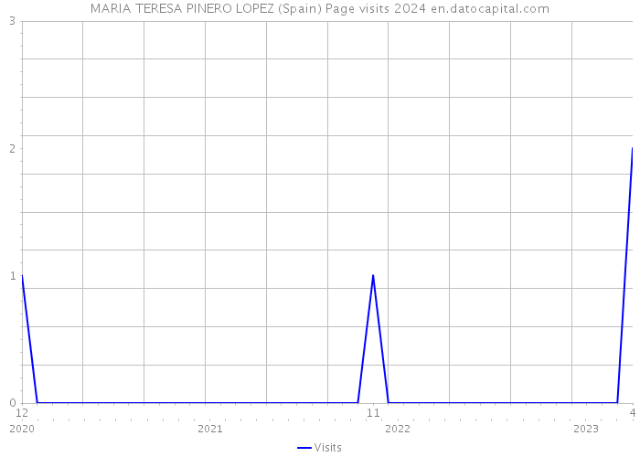MARIA TERESA PINERO LOPEZ (Spain) Page visits 2024 