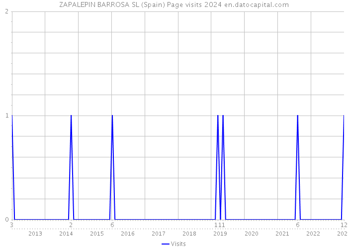 ZAPALEPIN BARROSA SL (Spain) Page visits 2024 