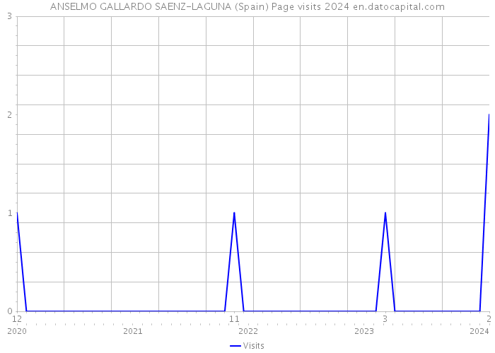 ANSELMO GALLARDO SAENZ-LAGUNA (Spain) Page visits 2024 