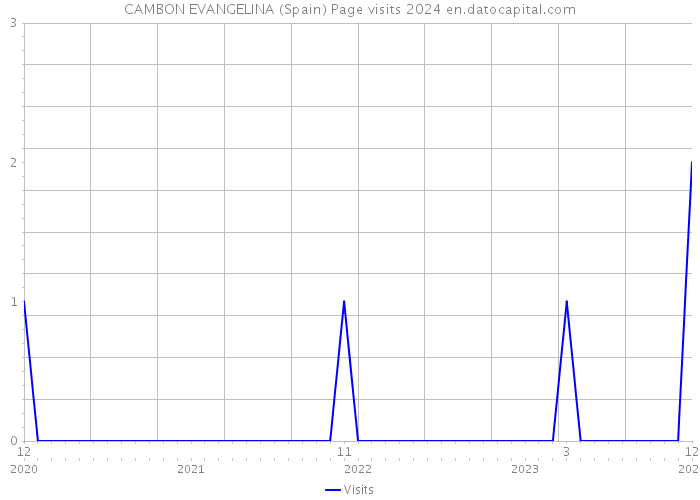 CAMBON EVANGELINA (Spain) Page visits 2024 