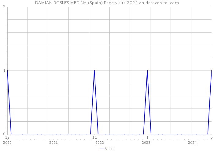 DAMIAN ROBLES MEDINA (Spain) Page visits 2024 