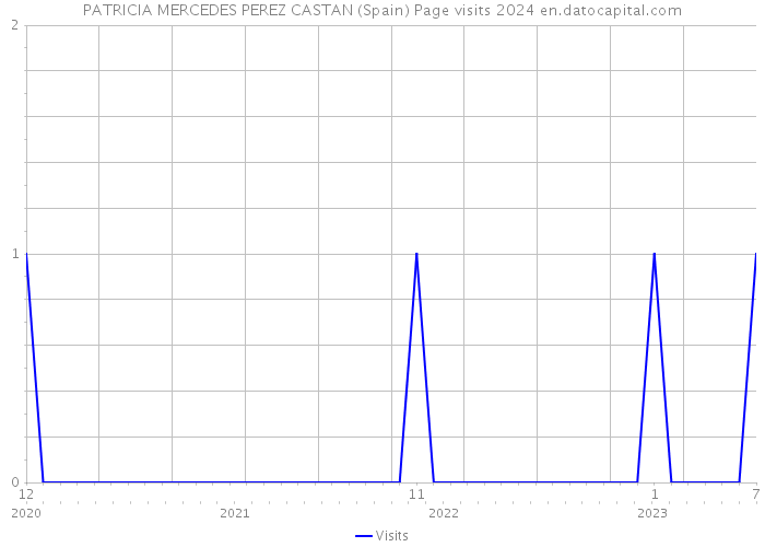 PATRICIA MERCEDES PEREZ CASTAN (Spain) Page visits 2024 