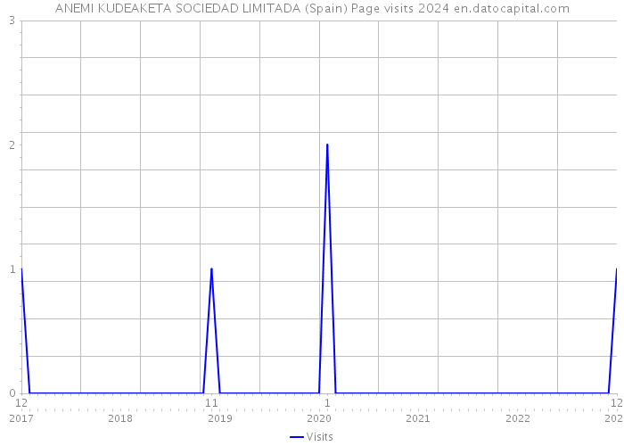 ANEMI KUDEAKETA SOCIEDAD LIMITADA (Spain) Page visits 2024 