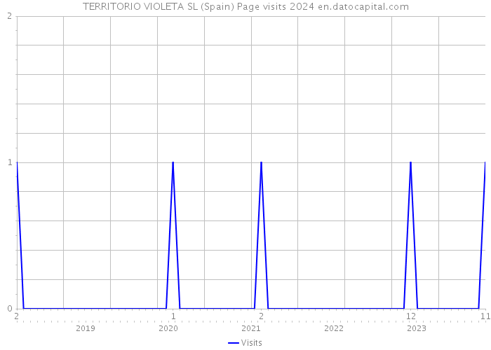 TERRITORIO VIOLETA SL (Spain) Page visits 2024 
