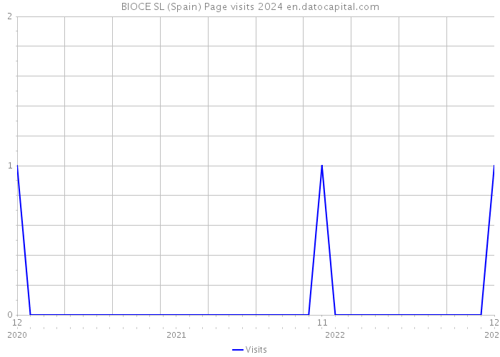 BIOCE SL (Spain) Page visits 2024 