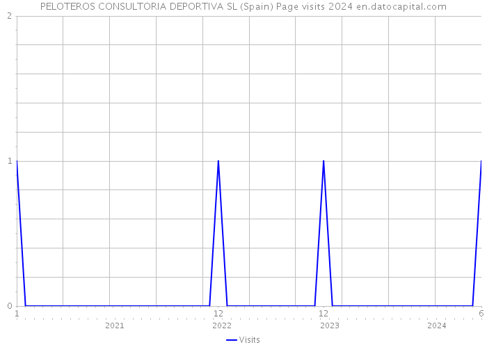 PELOTEROS CONSULTORIA DEPORTIVA SL (Spain) Page visits 2024 