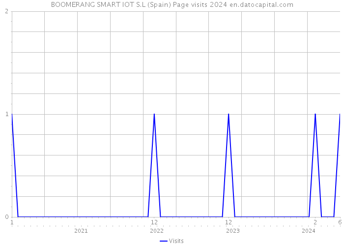 BOOMERANG SMART IOT S.L (Spain) Page visits 2024 