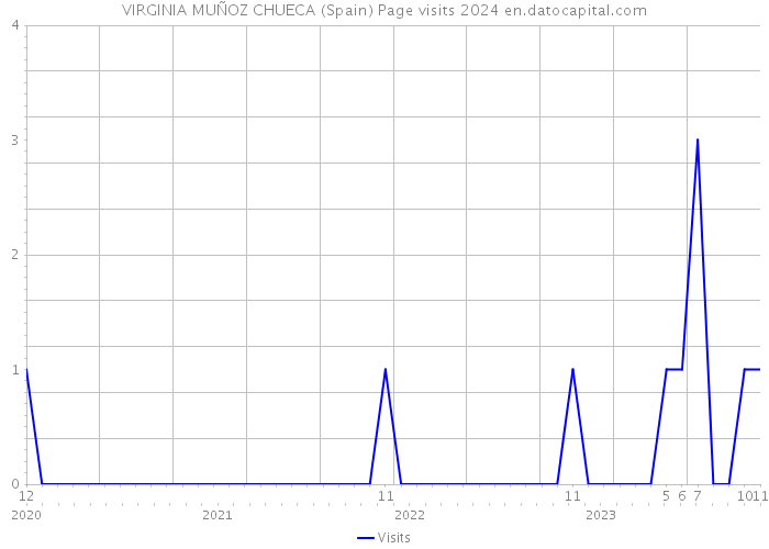 VIRGINIA MUÑOZ CHUECA (Spain) Page visits 2024 