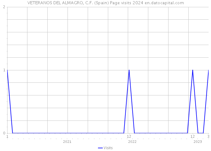 VETERANOS DEL ALMAGRO, C.F. (Spain) Page visits 2024 
