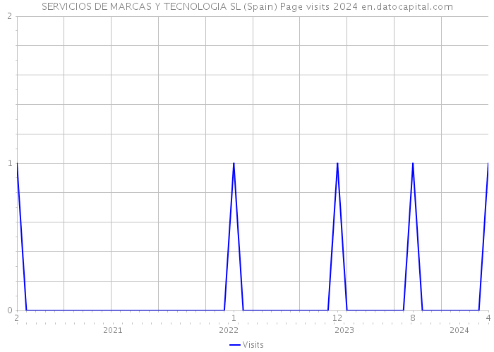 SERVICIOS DE MARCAS Y TECNOLOGIA SL (Spain) Page visits 2024 