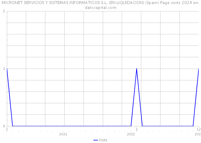 MICRONET SERVICIOS Y SISTEMAS INFORMATICOS S.L. (EN LIQUIDACION) (Spain) Page visits 2024 